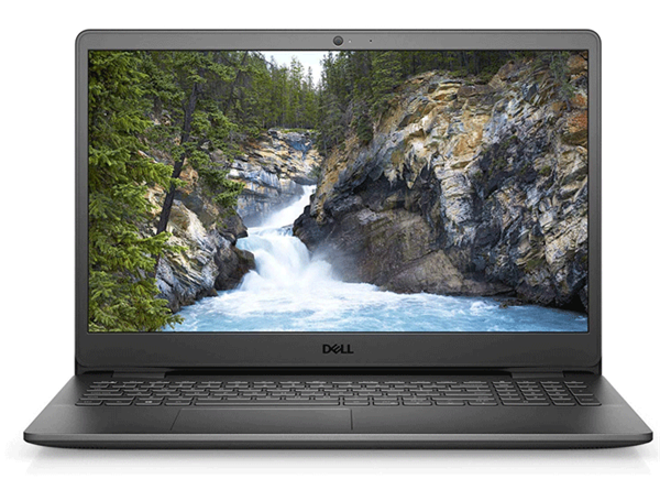Laptop Dell Inspiron 3501 (P90F002N3501B/P90F005N3501B) (i5 1135G7/4GB/512GB SSD/15.6FHD/Win10/Đen)